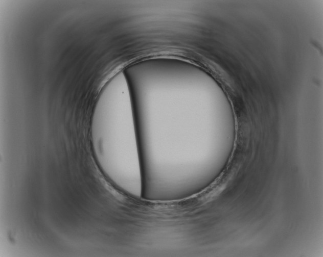 X0000097860985200803140852