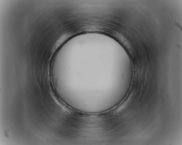 X0000097860986200803140852