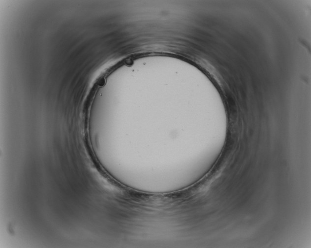 X0000097860987200803140852