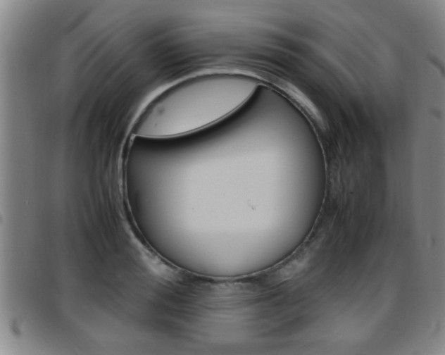 X0000097860988200803140852
