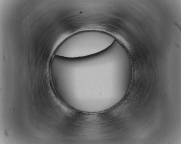 X0000097860990200803140852