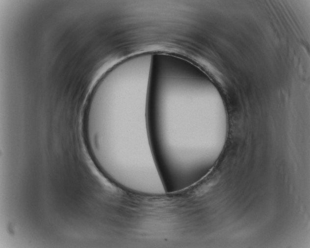 X0000097860991200803140852