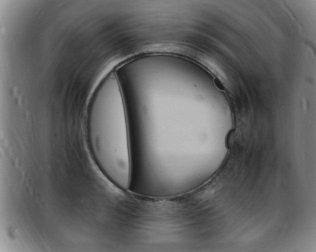 X0000097860992200803140852