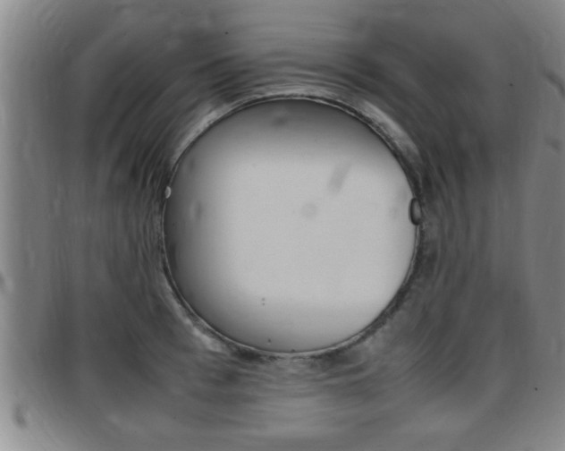 X0000097860993200803140852