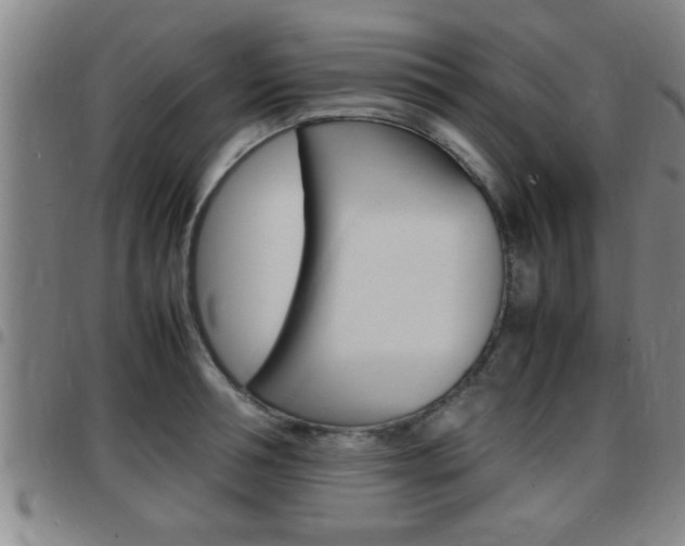 X0000097860994200803140852
