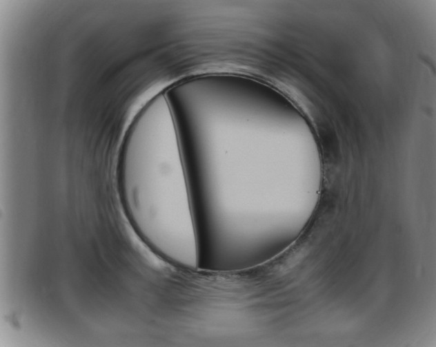 X0000097860995200803140852