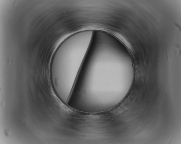X0000097860996200803140852