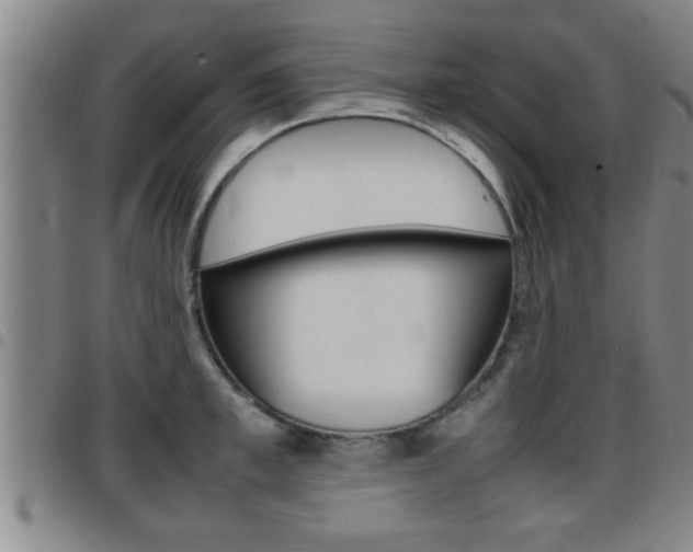 X0000097860997200803140852