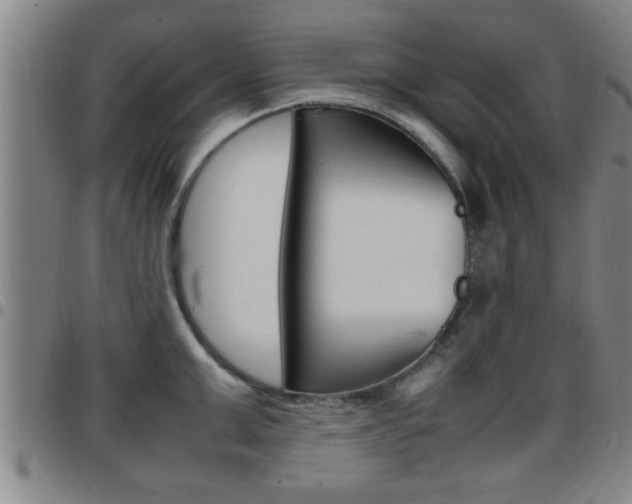 X0000097860999200803140852