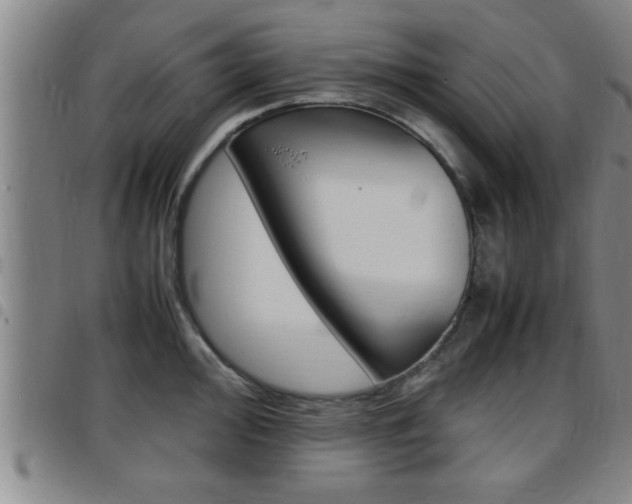 X0000097861000200803140852