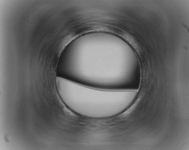 X0000097861001200803140852