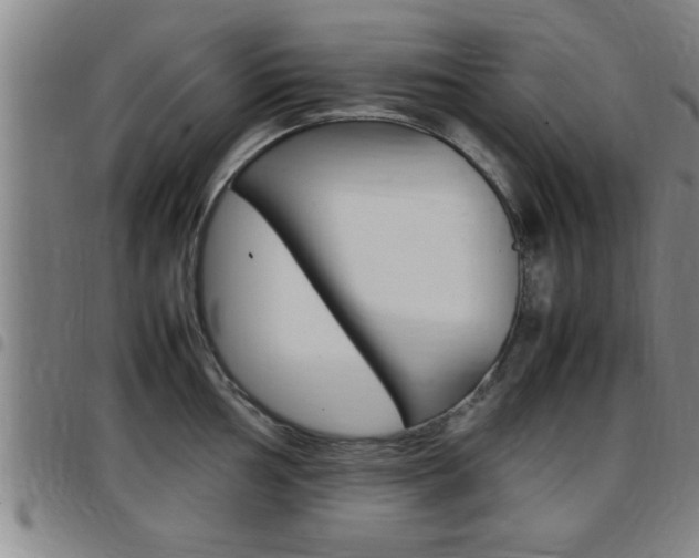 X0000097861002200803140852