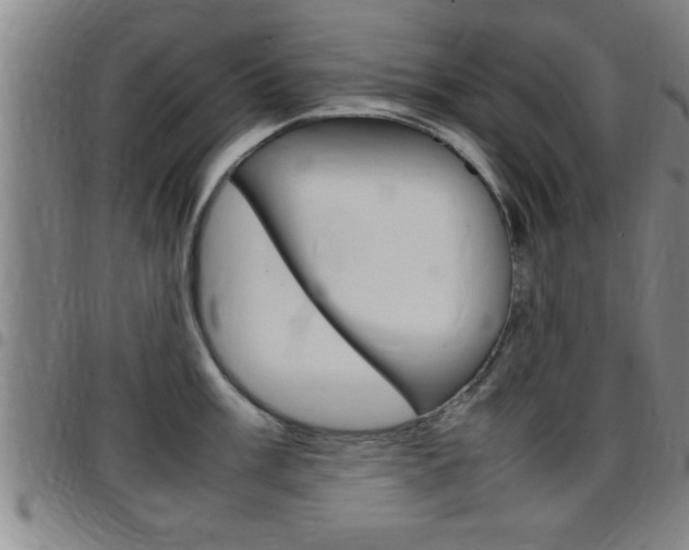X0000097861003200803140852
