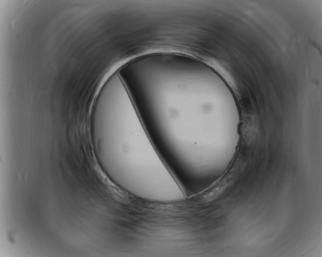 X0000097861004200803140852