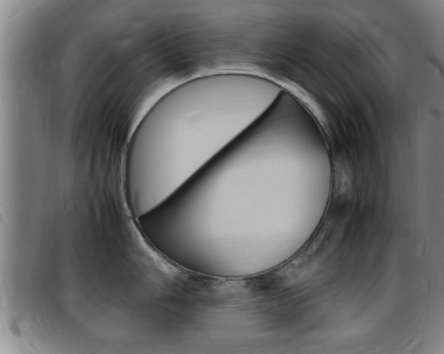 X0000097861006200803140852