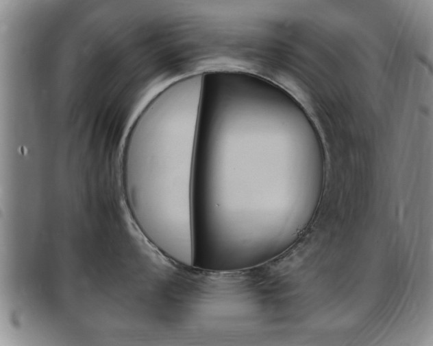X0000097861008200803140852