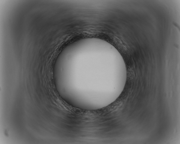 X0000097861009200803140851