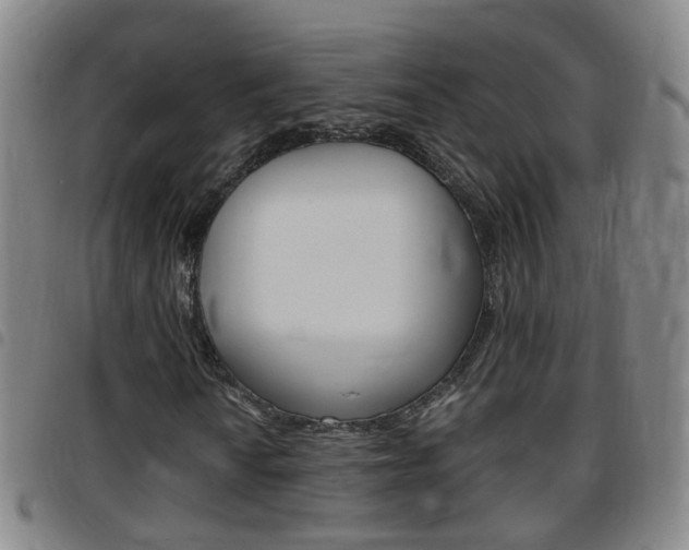X0000097861010200803140851
