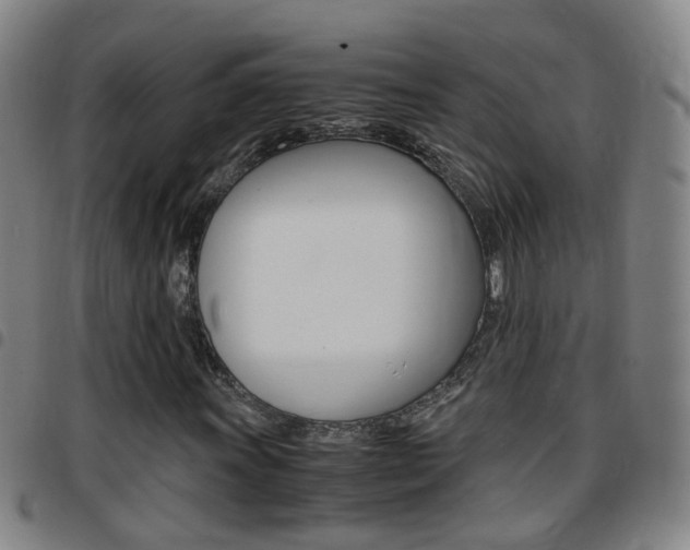 X0000097861011200803140851
