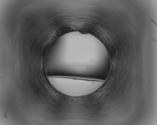 X0000097861012200803140851