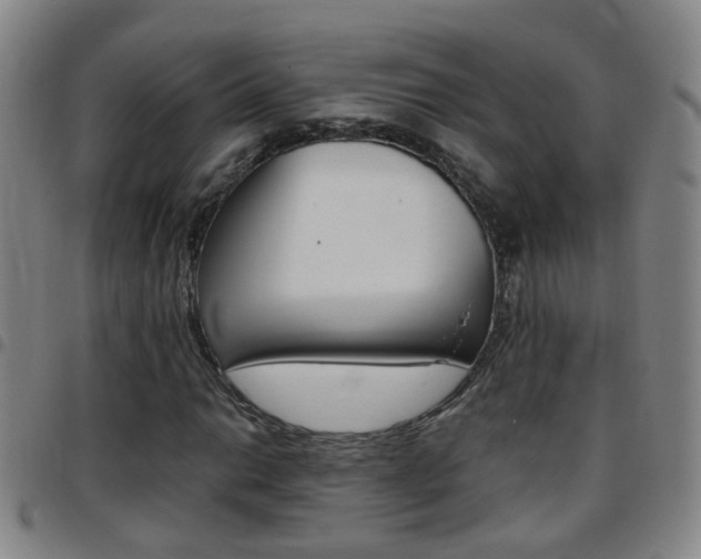X0000097861014200803140851