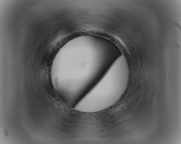X0000097861016200803140851