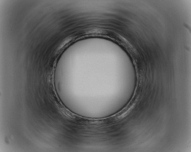 X0000097861017200803140851