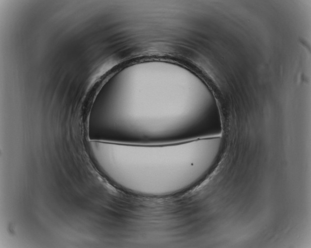 X0000097861018200803140851