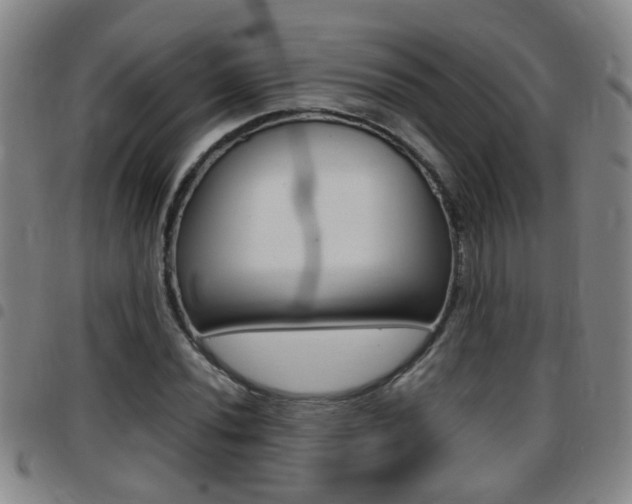 X0000097861020200803140851
