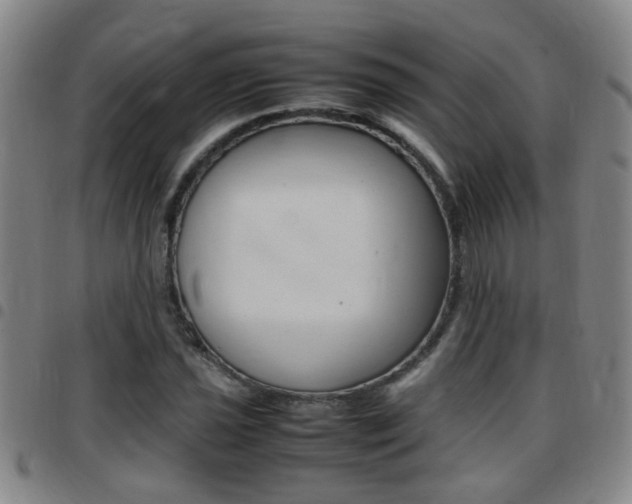 X0000097861021200803140852