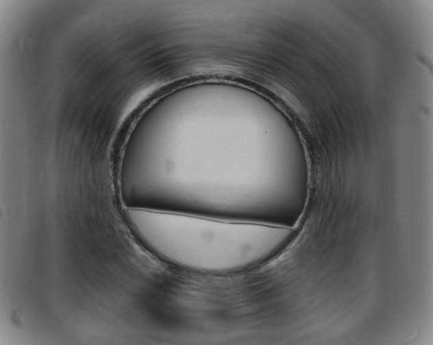 X0000097861022200803140852