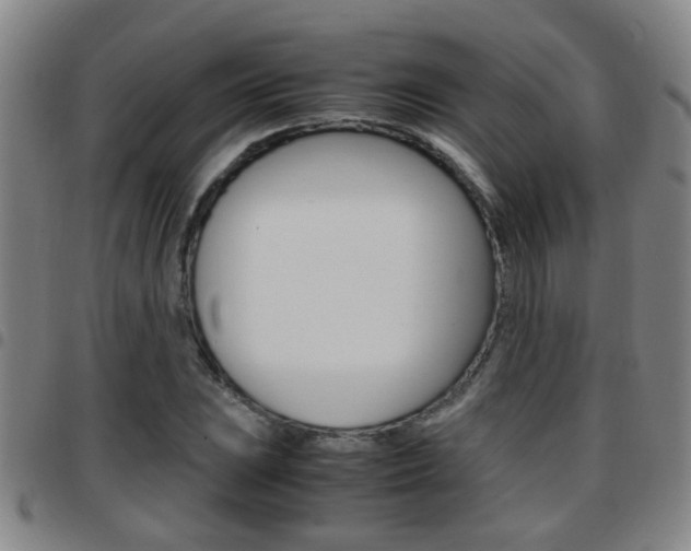 X0000097861023200803140852