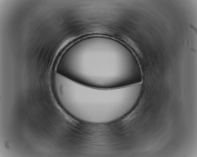 X0000097861024200803140852