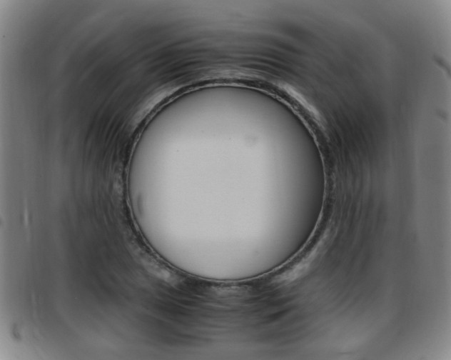 X0000097861025200803140852