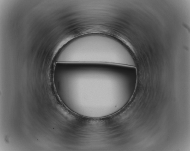 X0000097861026200803140852