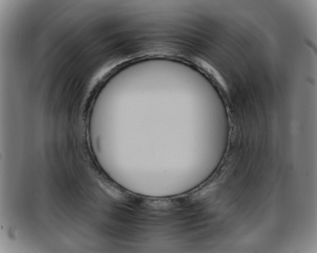 X0000097861027200803140852