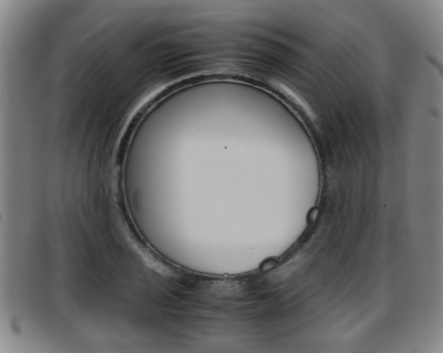 X0000097861029200803140852