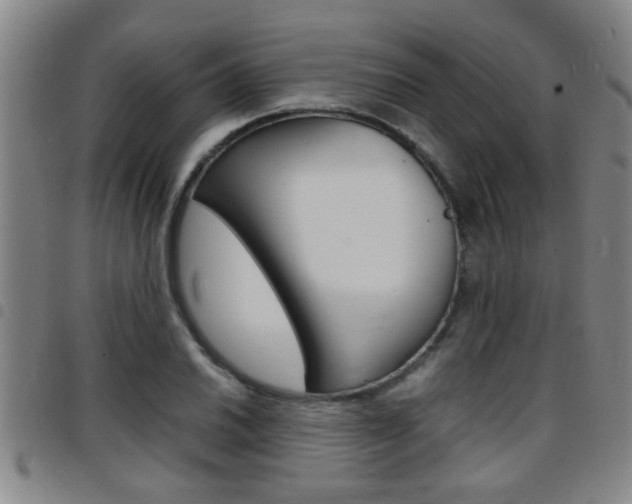 X0000097861030200803140852