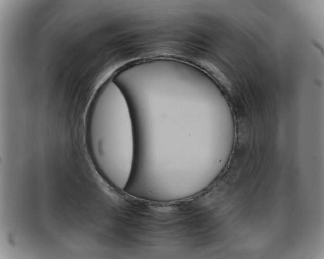 X0000097861031200803140852