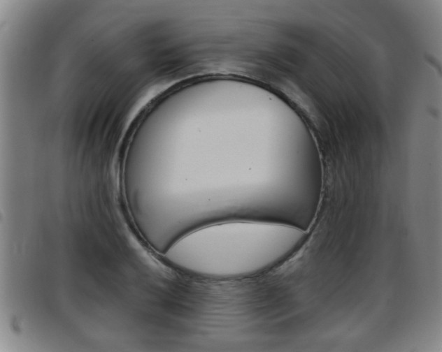 X0000097861032200803140852