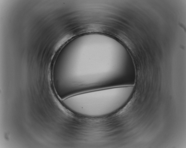 X0000097861034200803140852