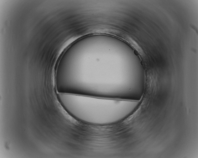 X0000097861036200803140852