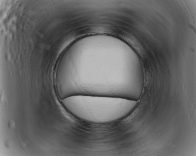 X0000097861039200803140852