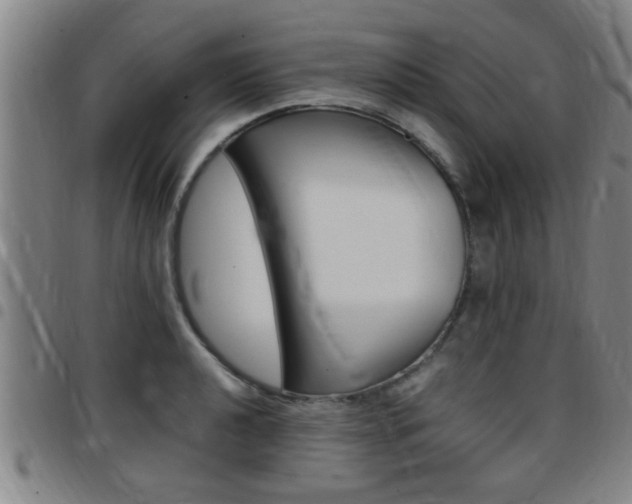 X0000097861040200803140852