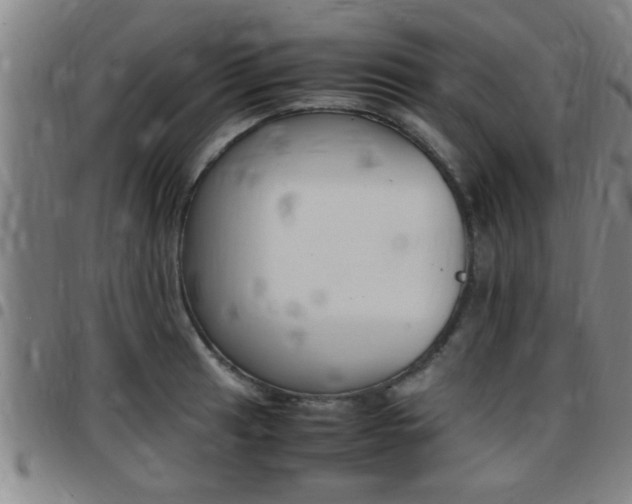 X0000097861041200803140852