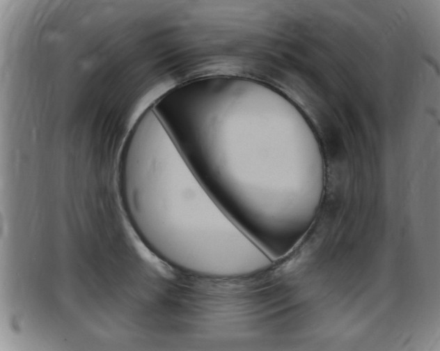 X0000097861042200803140852