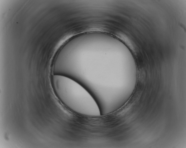 X0000097861043200803140852