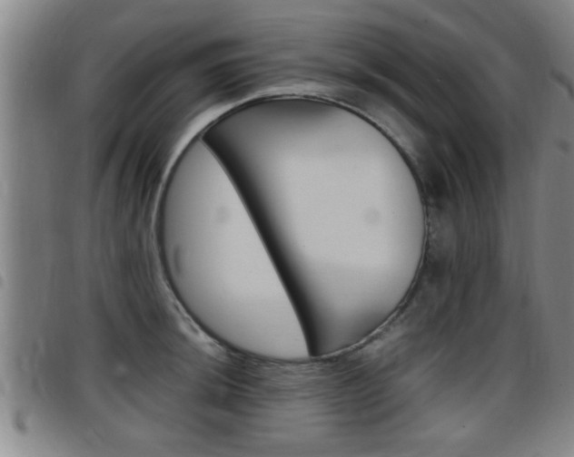X0000097861044200803140852