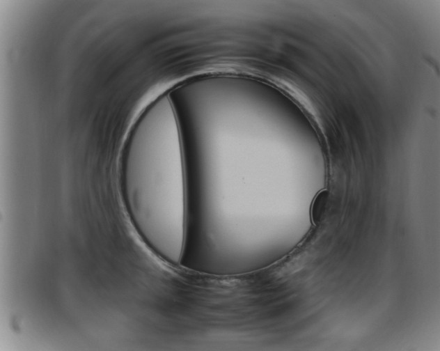 X0000097861045200803140852