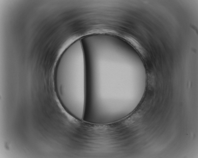 X0000097861046200803140852